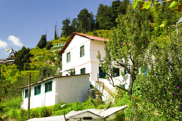 Small Image 4