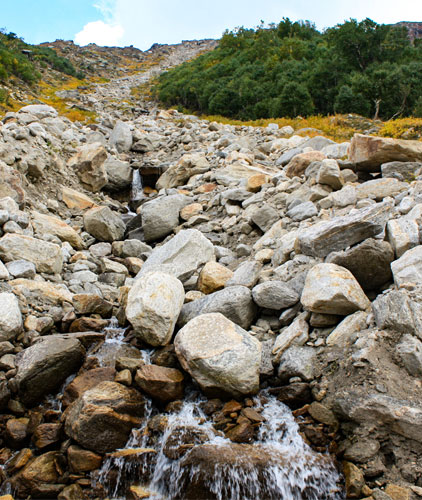 Features Image